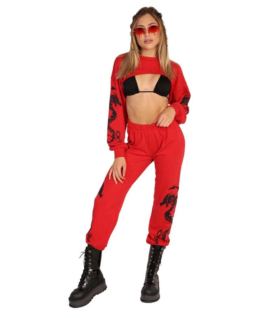 Rock & Rose New Arrivals Dead End Dragon Ultra Crop Top 3 Rock & Rose New Arrivals Dead End Dragon Ultra Crop Top