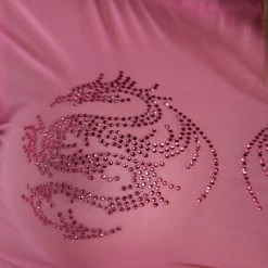 Clara Story Tops What A Drag-on Mesh Crop Top